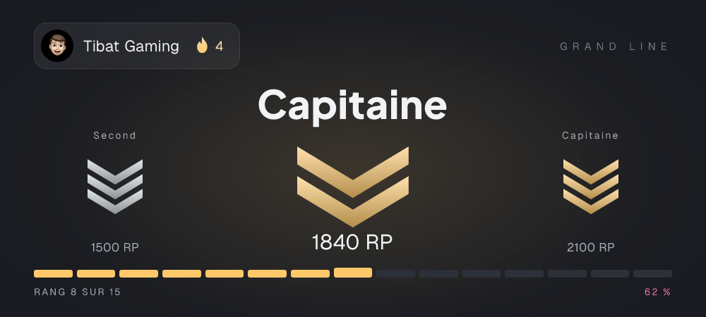 Carte /rang : le palier atteint, les points de rang et la progression vers le palier suivant.
